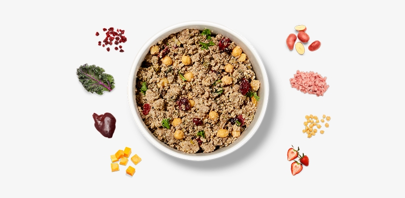 Tasty Lamb Fare - Ollie Lamb Dog Food, transparent png