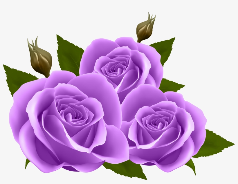 Purple Rose Clip Art At Clker - Purple Roses Png, transparent png