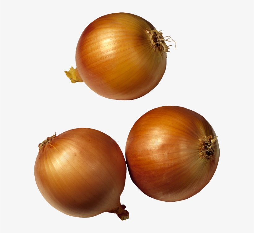 Onion Png Free Download - Onion Clipart No Background, transparent png