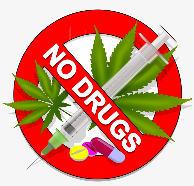 28 Collection Of Weed Clipart Transparent, transparent png