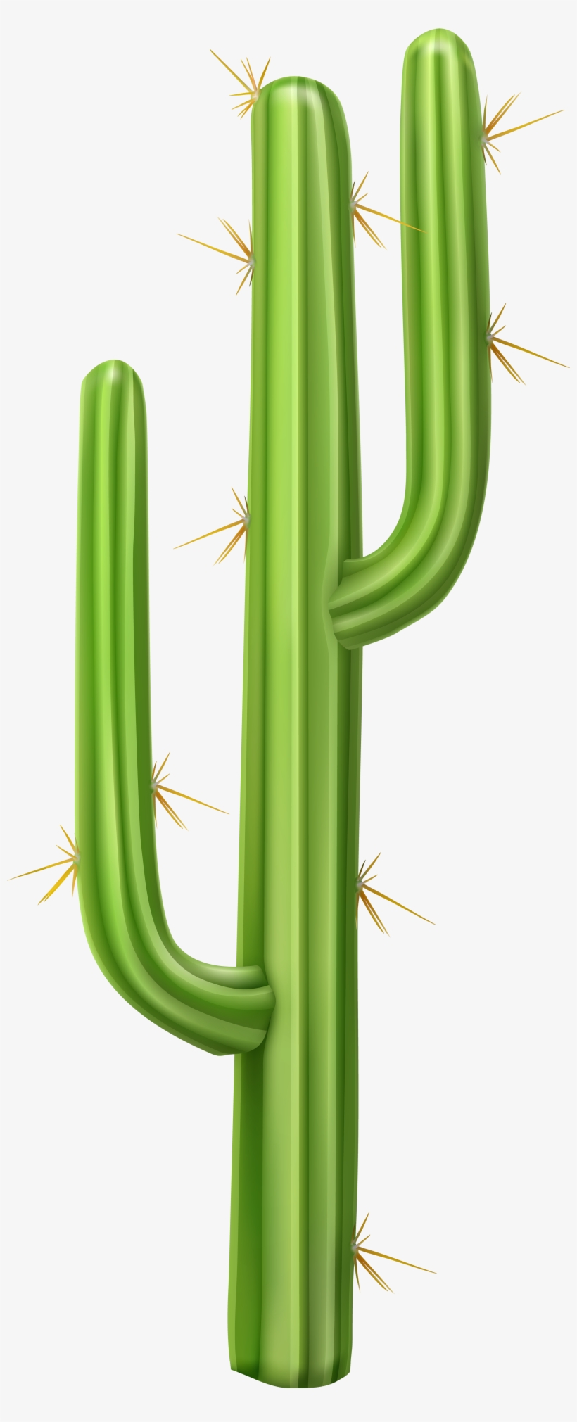 Transparent Cactus Png, transparent png