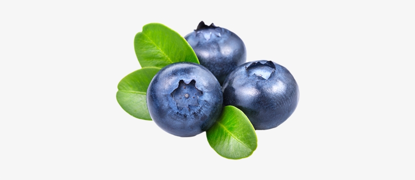 Blueberries Png, transparent png
