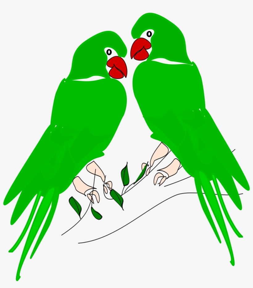 Download Parrot Png Transparent Images Transparent - Clip Art, transparent png