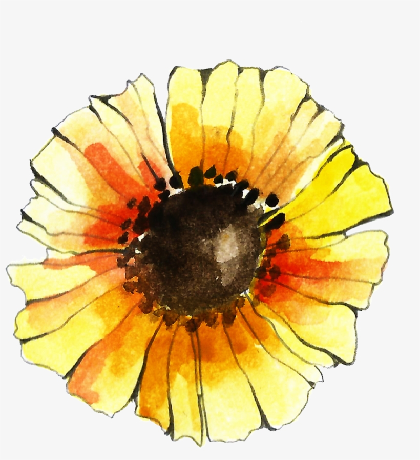 This Graphics Is Hand Painted Literary Passionate Sun - Pretty Colorful Floral Decorative Tote Bag Design,, transparent png