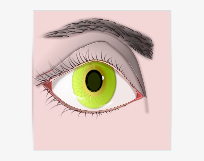Dazhui - Contact Lens, transparent png