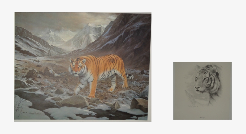 Charles Frace ,sibirien Tiger - Charles Frace - Siberian Tiger, transparent png