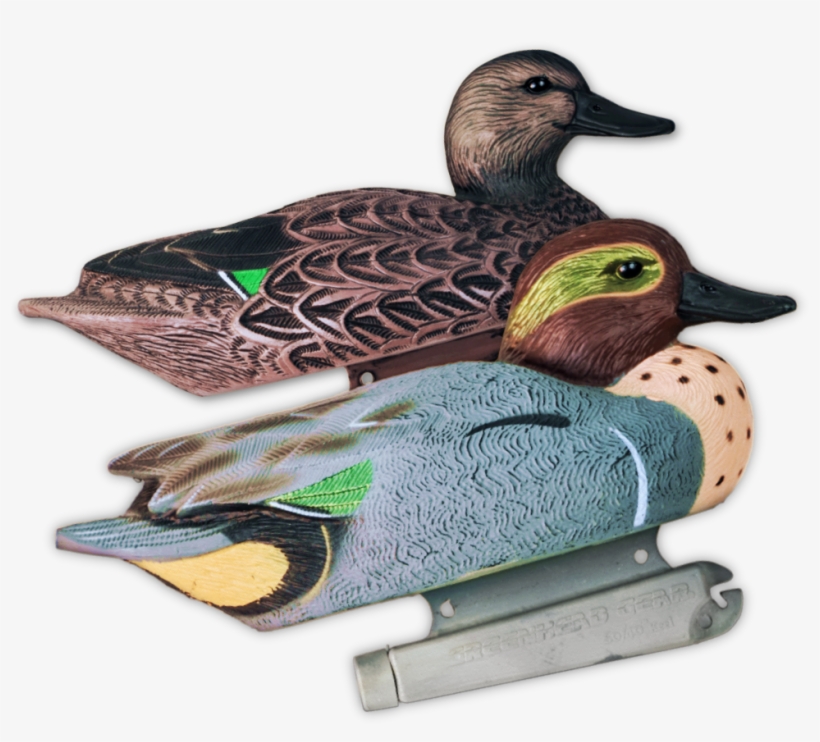 Image Of The Teal Duck Decoys From Greenhead Gear - Mallard, transparent png