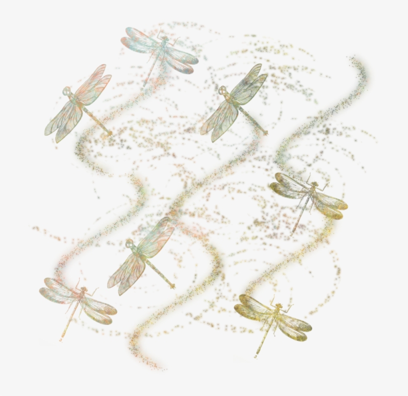 Dragonfly Masked Texture 800 X - Dragonfly Charm Necklace With Bail And Clasp, Tierra, transparent png