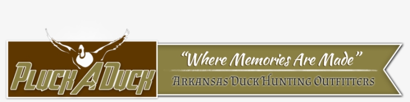 Contact Us - Parallel, transparent png