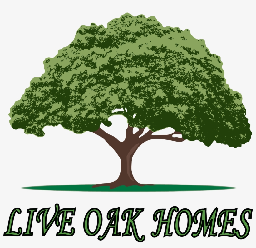 Live Oak Trees Clip Art, transparent png