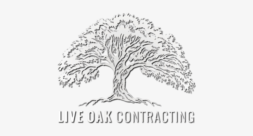 Live Oak Contracting Believes In Building Long Term - Illustration, transparent png