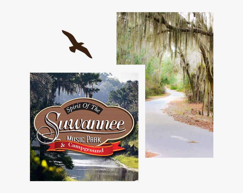 Rally 2 Live Oak Florida - Florida, transparent png