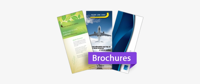 "creativity Is Our Team Strength - Brochures Online, transparent png