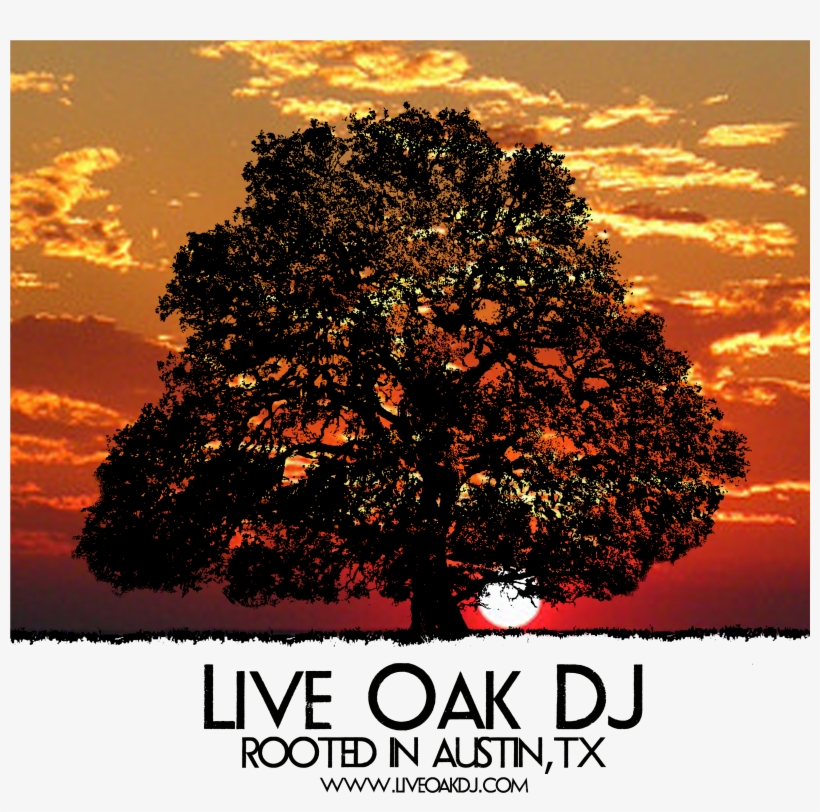 Live Oak Dj, Austin Texas Logo - Texas, transparent png