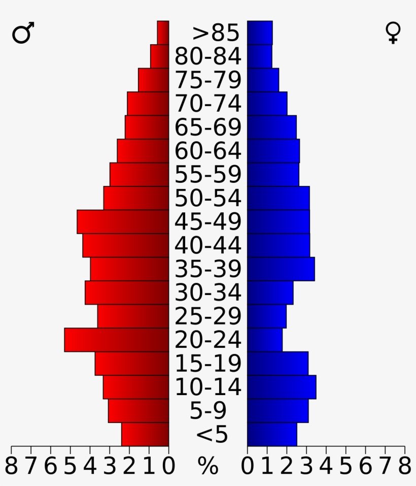 Open - Population Pyramid Of Palm Beach County, transparent png