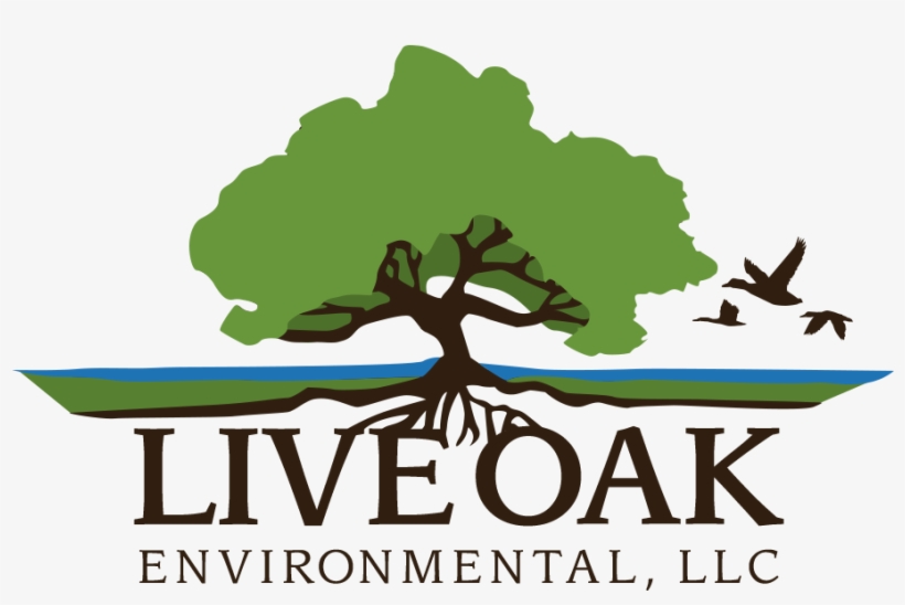 Bossier City, La Live Oak Environmental Waste Management 1200x1200