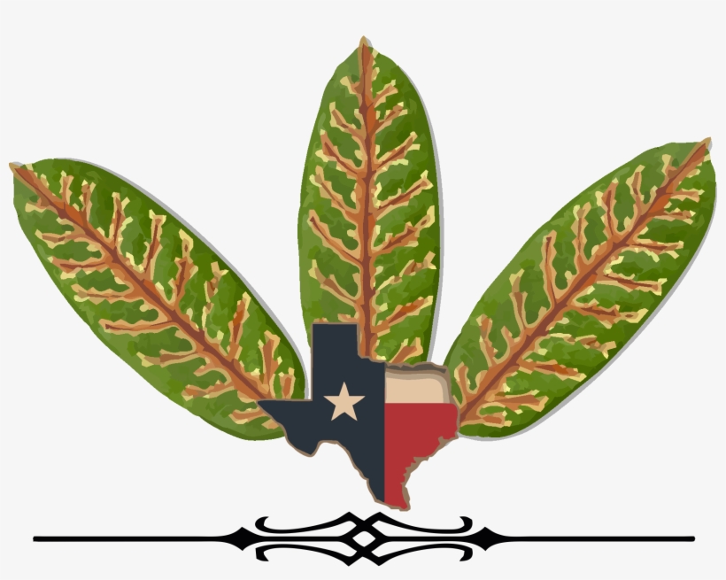 Clip Art, transparent png