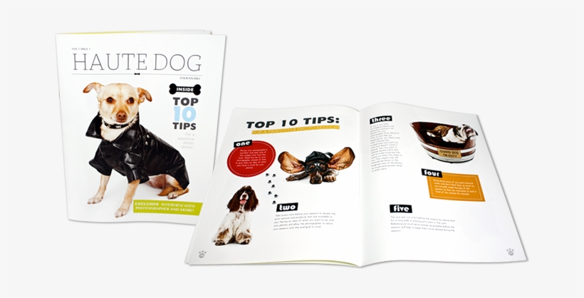 Brochures - Brochure, transparent png