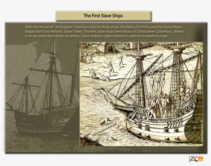 Co Tribes Of Israel Congregation Png Christopher Columbus - Americas, transparent png