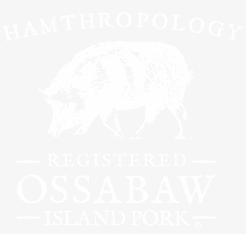 Hamthropology Ossabaw Island Pork - Dark Stories By Ryan Stenzack 9781537717838 (paperback), transparent png