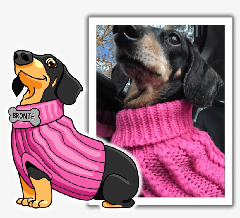 Meet Bronte, One Of Sausagemoji's Favorite Pups - Dachshund, transparent png