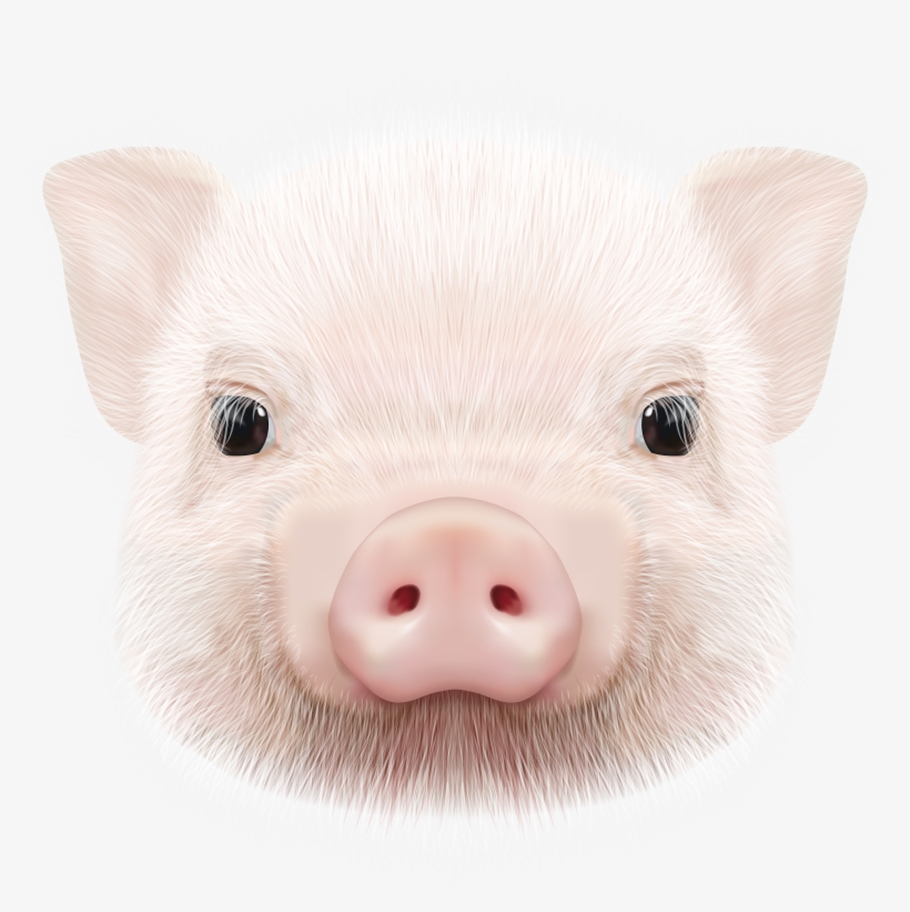 Animal Head Png, transparent png