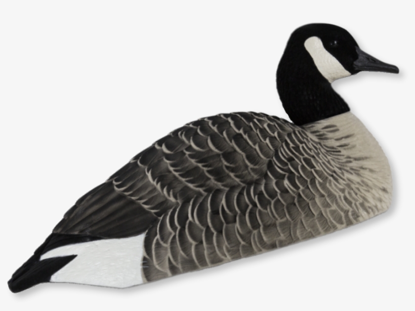 Image Of Avian-x Canada Goose Shells - Zink Avian-x Axp Fusion Pack Honker Shells 9010, transparent png