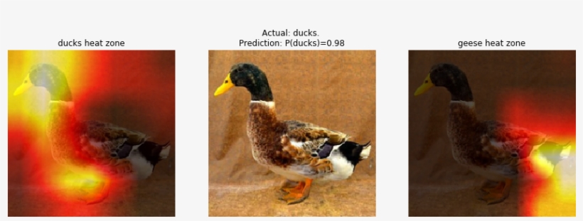 Duck 269 Kb - Portable Network Graphics, transparent png