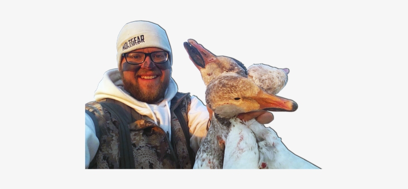 Spring Snow Goose Hunting - Hunting, transparent png