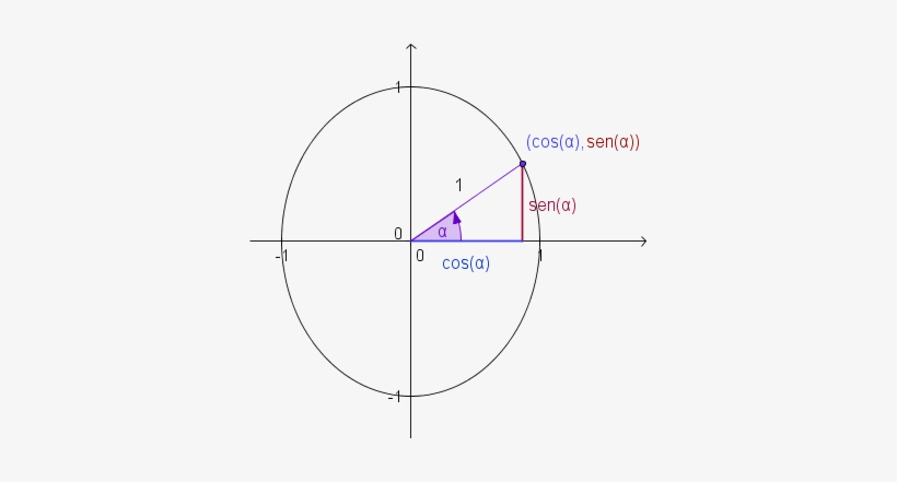 Circulo Unitario Seno Y Coseno, transparent png