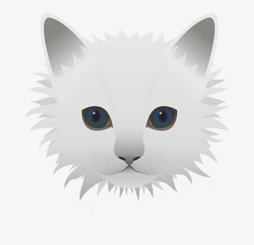 Free Image On Pixabay - Blaue Augen Der Miezekatze Große Wanduhr, transparent png