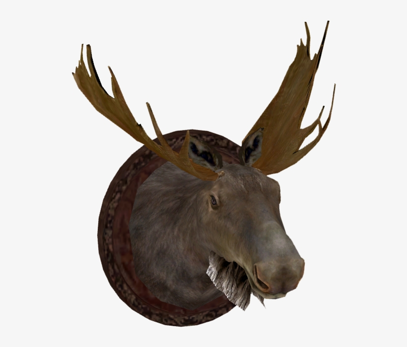 Mounted Moose Head - Moose Zt2 Download Library, transparent png