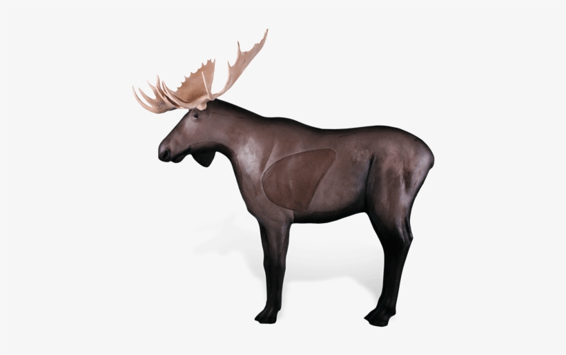 Moose - Rinehart Targets Rinehart Moose 3-d Foam Archery Target, transparent png