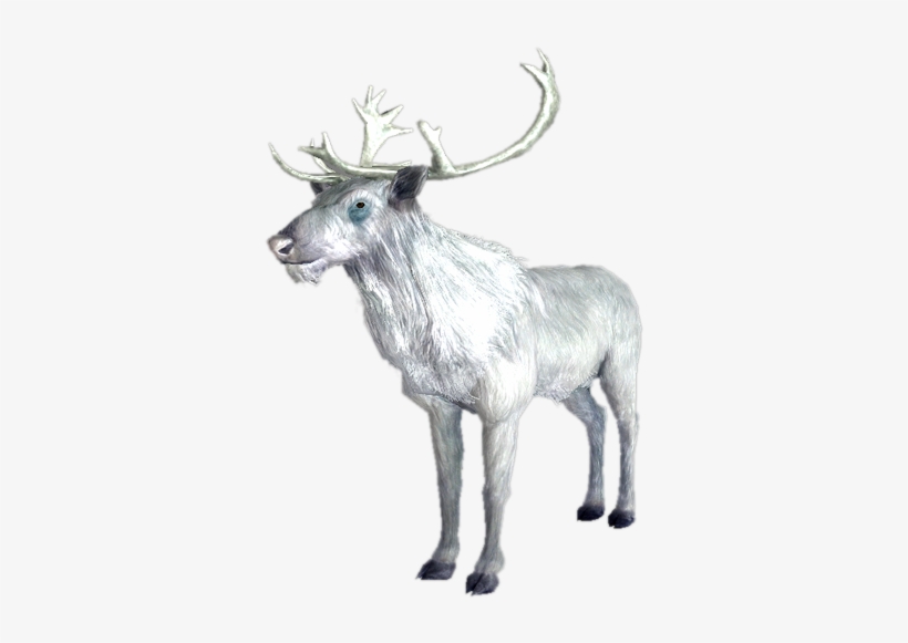 White Stag - Skyrim White Deer, transparent png