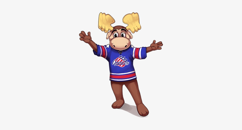 Click On The Moose Above To Request An Appearance At - Moose, transparent png