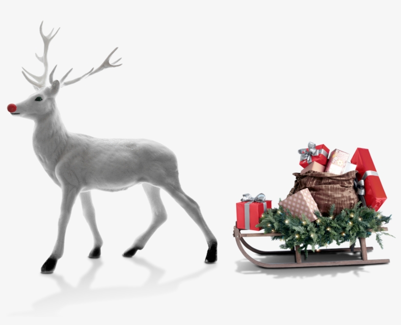 Christmas Moose Gift Christmas Car Vector, transparent png