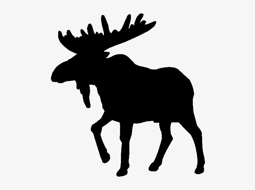 Moose - Moose Clipart, transparent png