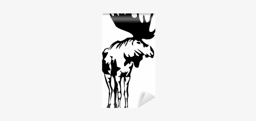 Moose, transparent png