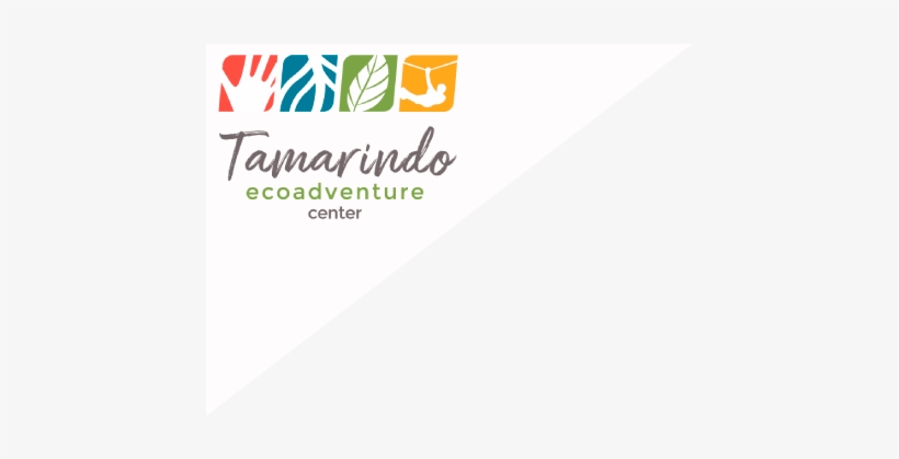 Tamarindo, transparent png