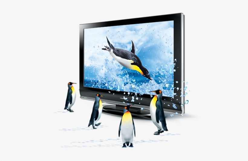 3d - Penguins - Penguins, transparent png