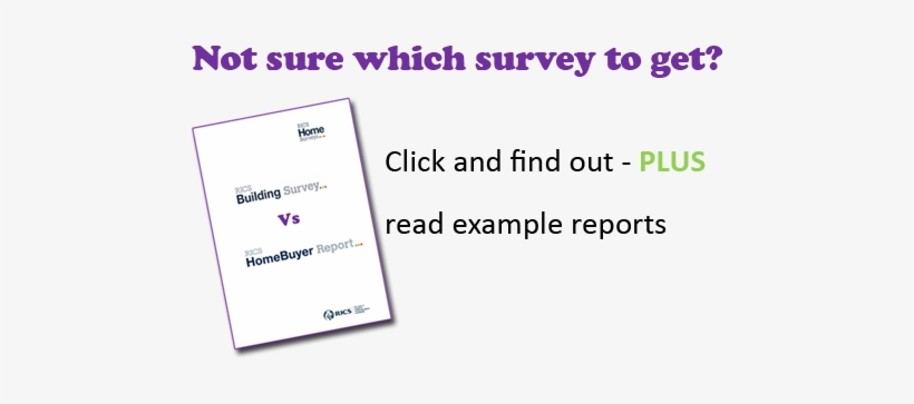 Freshman Quotes, transparent png