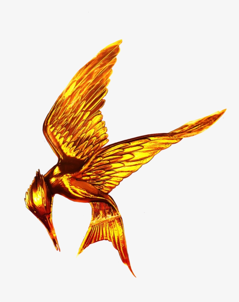 Hunger Games Tumblr Transparent - Hunger Games Transparent, transparent png