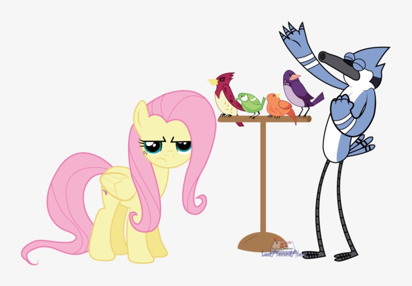 Lastsecondhero, Bird, Blue Jay, Constance, Crossover, - Horse, transparent png