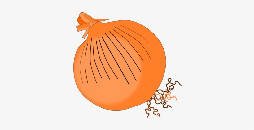 Calabaza Vegetarian Cuisine Red Onion Vegetable White - Onion Clip Art Png, transparent png