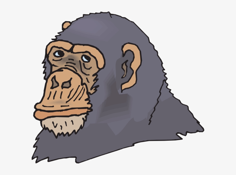 Gray Chimp Head Clipart Png For Web, transparent png