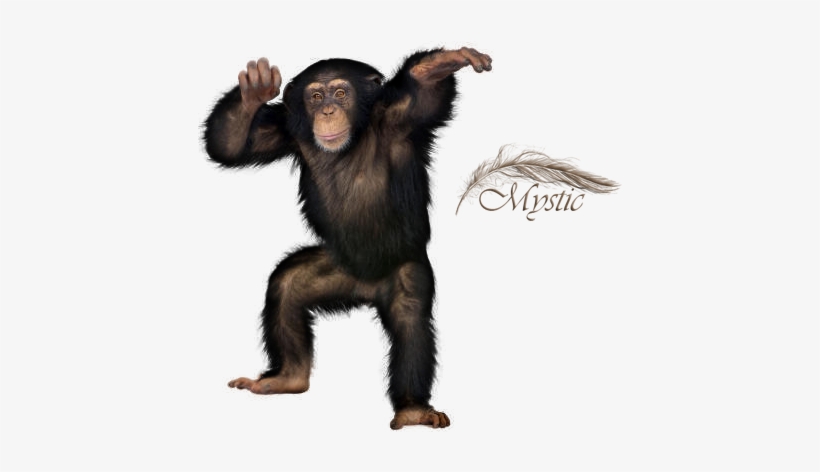 Liked Like Share - Animals With White Background, transparent png