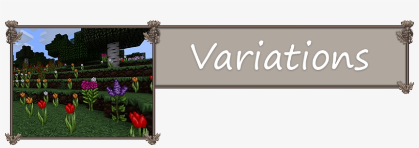 Customizer - African Daisy, transparent png