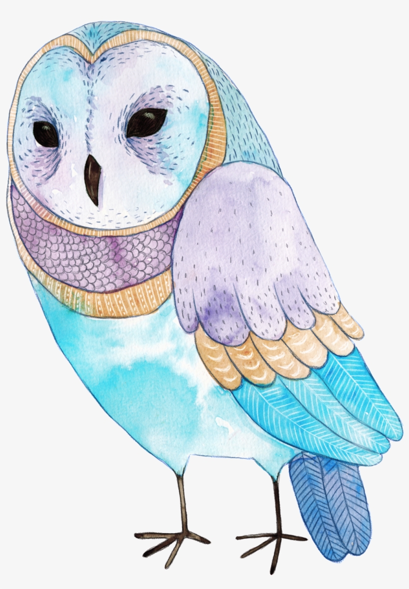Hand-painted Colored Sprout Owl Png Transparent Material - Art Print: Sem's Watercolor Funny Kids Illustration, transparent png