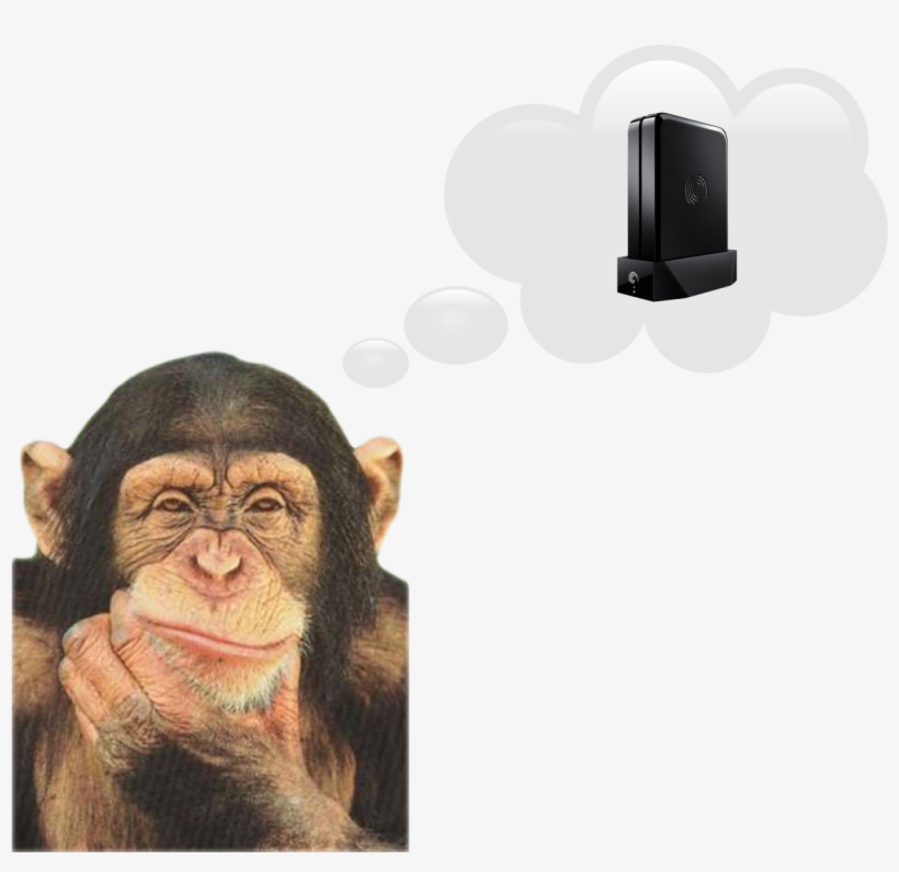 What Is A Nas And Why Do I Need One - Rough Guide To Evolution, transparent png