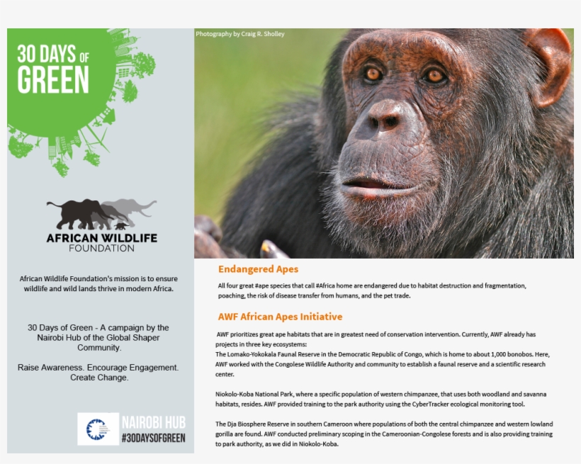 7 Oct - Environmental Health: Human Welfare In Present Scenario, transparent png